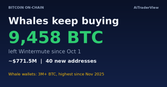Les baleines continuent d&rsquo;accumuler du bitcoin : 9 458 BTC quittent Wintermute alors que le cours passe sous 82 000 $