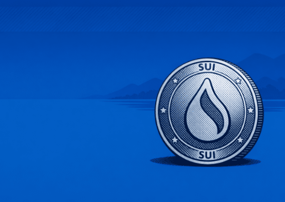 SUI Coin Explained: Tokenomics, Roadmap and Network Developments